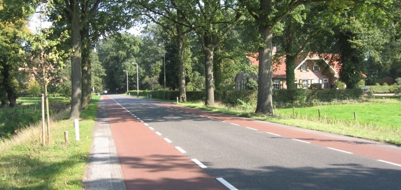 Foto van de Goorseweg in Diepenheim in de zomer